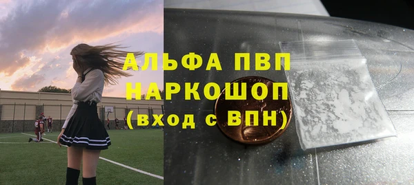 прущие крисы Новозыбков