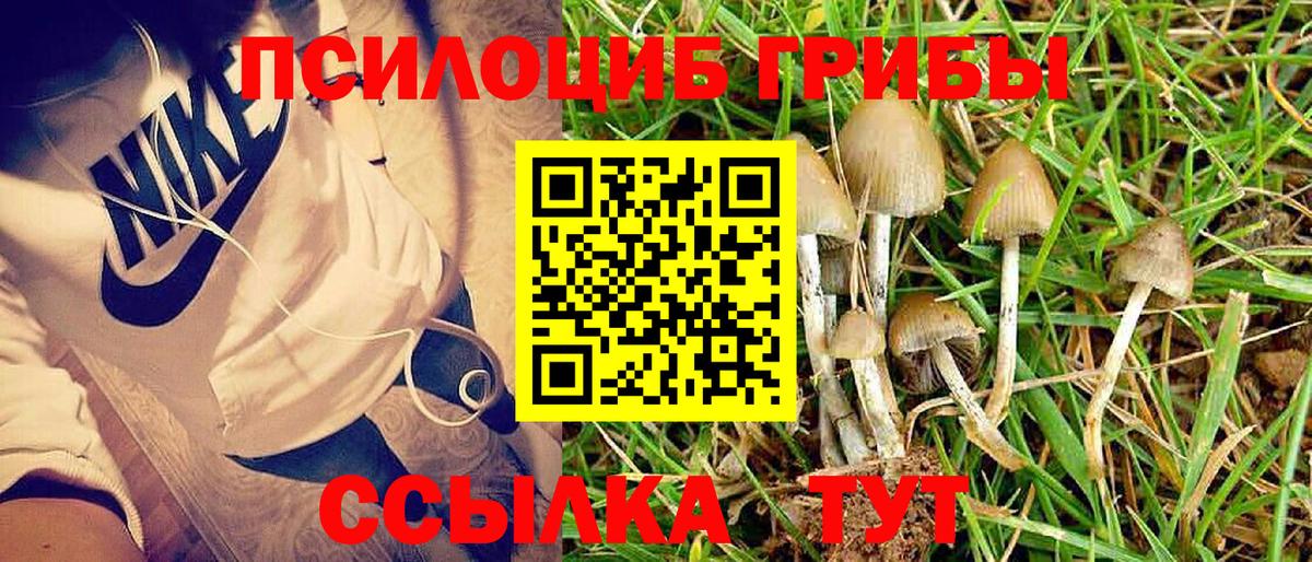 Галлюциногенные грибы прущие грибы Чусовой