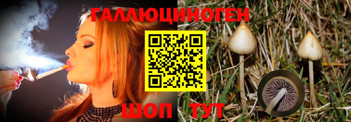 цены наркотик  Галлюциногенные грибы Magic Shrooms  Чусовой  Псилоцибиновые грибы мухоморы 